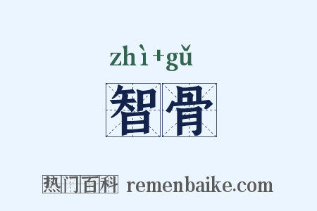 智骨是什么意思的图片